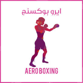 Aero Boxing icon